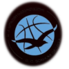 https://img.lschunmutang.com/img/basketball/team/1a45d903dafdcc026ec9809d9916a681.png